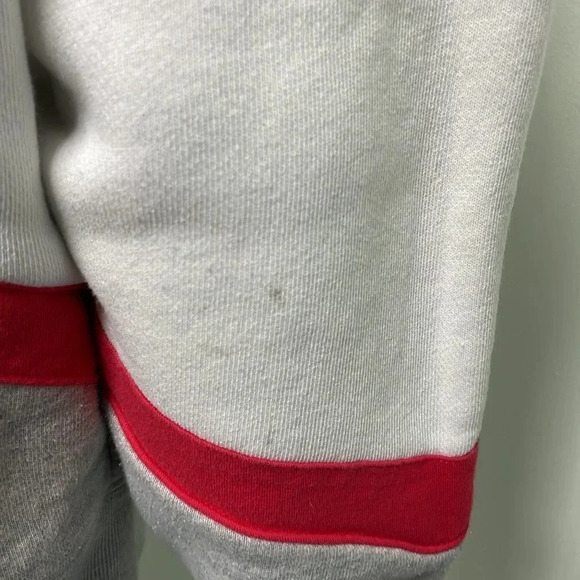 Champion Reverse Weave Colorblock Hoodie Large - Picture 11 of 15